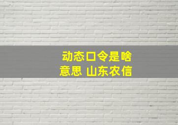 动态口令是啥意思 山东农信